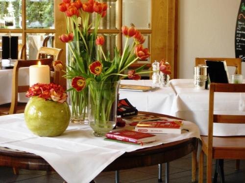 Hostal Villa Am Park - Guesthouse