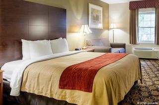 Hotel Comfort Inn Auburn-worcester