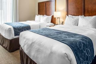Hotel Comfort Suites Near Potomac Mills