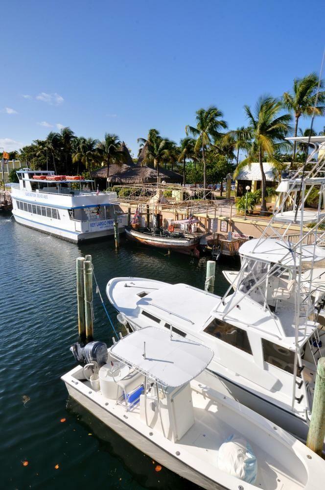 Hotel Holiday Inn Key Largo