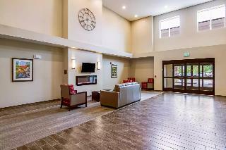 Hotel Comfort Suites Wooster Area