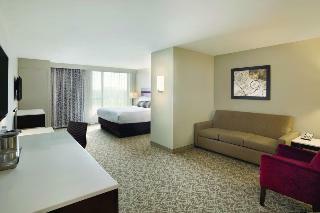 Hotel Holiday Inn Chicago - Schaumburg