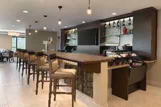 Hotel Holiday Inn Chicago - Schaumburg