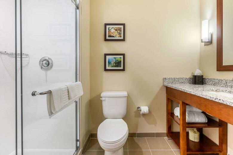 Hotel Comfort Inn Suites