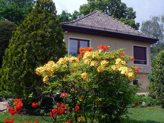 Hotel 5, Chemin de La Pralay - One Bedroom