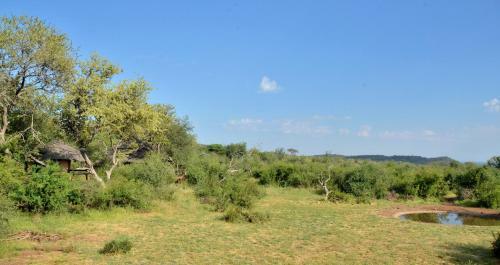 Motswiri Private Safari Lodge