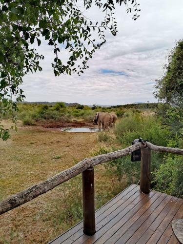 Motswiri Private Safari Lodge