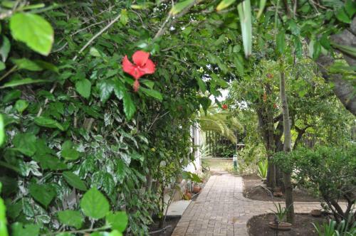 Hostal Pelican Place Guest Cottages