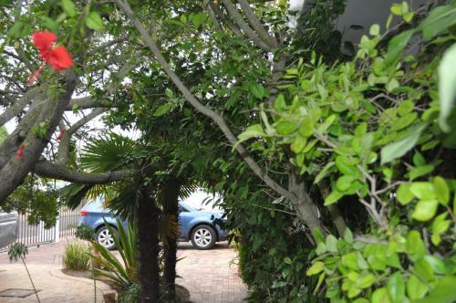 Hostal Pelican Place Guest Cottages