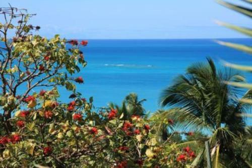 Attractive 2-bed Apartment Stunning Sea View