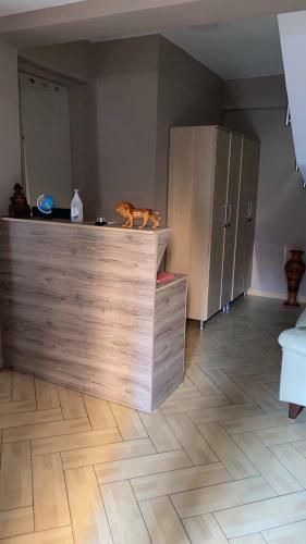 Bed & Breakfast Hotel Durres Vila 53