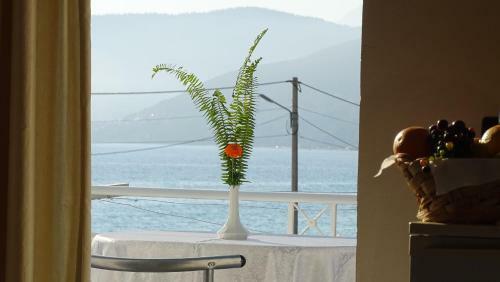 Hotel Elisabeta Borsh