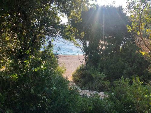 White Rocks - Spacious And Cute Apartment By The Sea