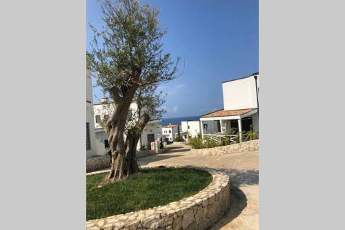 White Rocks - Spacious And Cute Apartment By The Sea