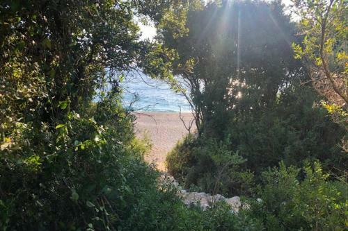 White Rocks - Spacious And Cute Apartment By The Sea