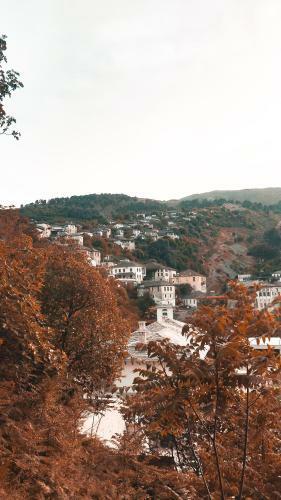 Hotel Argjiro Traditional