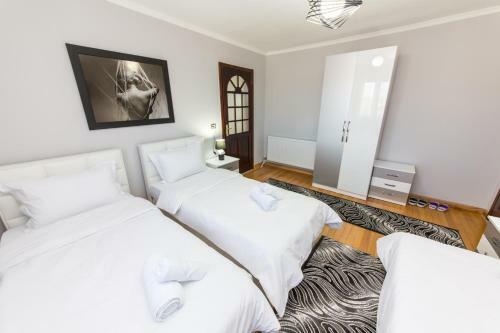Hostal Bujtina Vila 10