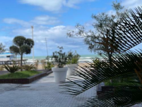 Apartamento Luiza?s Acomodation
