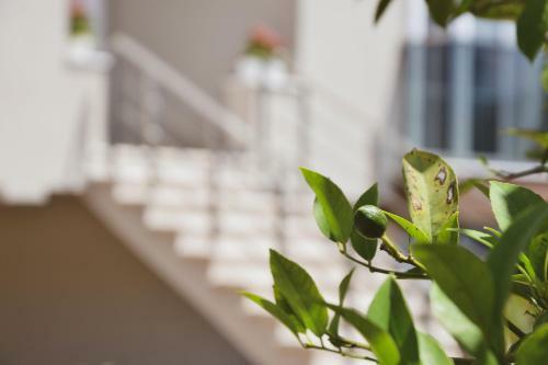 Airport Garden Hotel