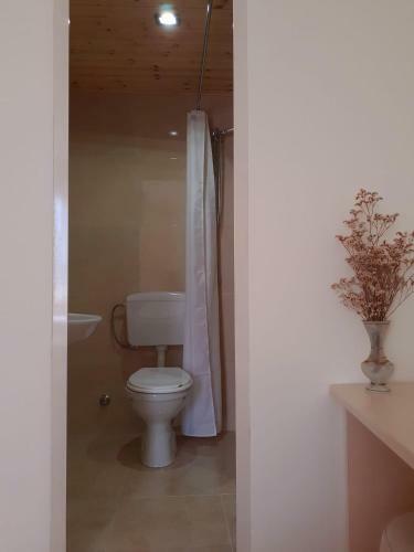 Hostal Guest House Zadeja