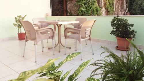 Hostal Guest House Zadeja
