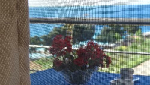 Hotel Queen Margaret Seaside