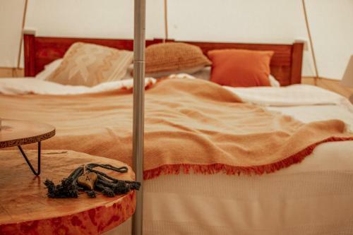 Wow Glamping