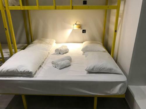 Duck Hostel