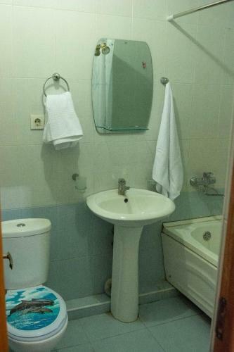 Apartments & Tours