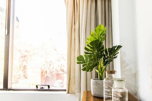 Apartamento Luminous And Big Apt, The Best Location, Aristides