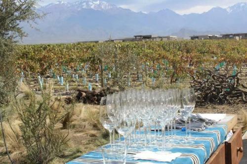 Mendoza Apart Sun & Wine!
