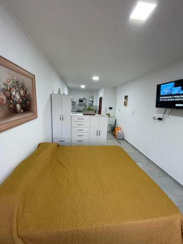 Apartamento Amplio Monoambiente C�ntrico