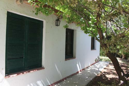 Caba�a En Olivar Centenario Agroecol�gico Tutuna