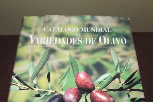 Caba�a En Olivar Centenario Agroecol�gico Tutuna