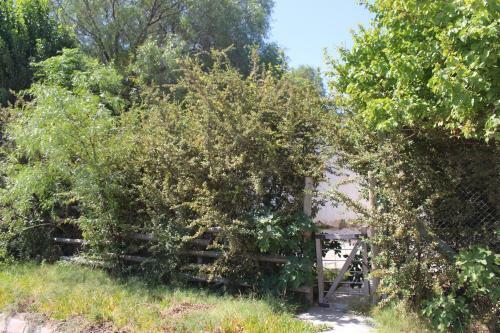 Caba�a En Olivar Centenario Agroecol�gico Tutuna