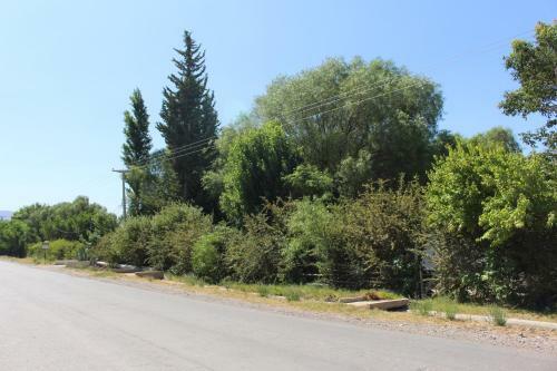 Caba�a En Olivar Centenario Agroecol�gico Tutuna