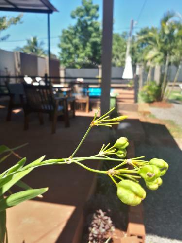 Apartamento Solar Del Iguazu 2
