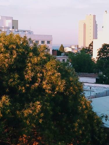 Apartamento Monoambiente Estudio C�ntrico. 28j Nuevo!