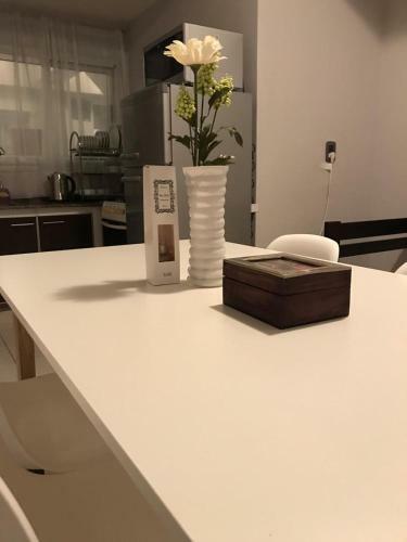 Apartamento Bamb� Departamentos