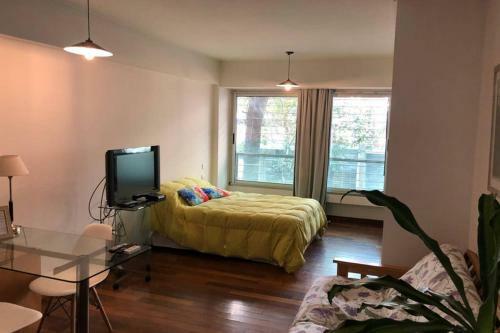 Apartamento Fabulous Studio! Sanatorio Brit�nico, R�o Y M�s.