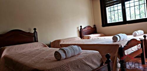 Coya Hostel