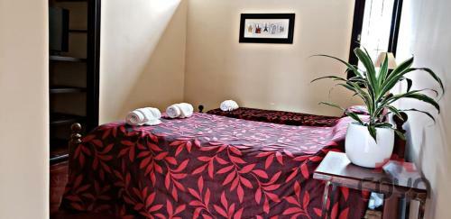 Coya Hostel