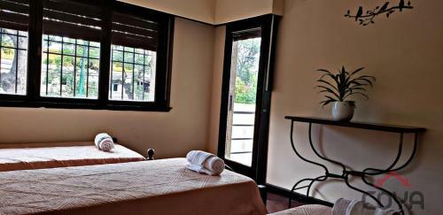 Coya Hostel