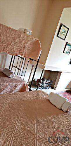 Coya Hostel