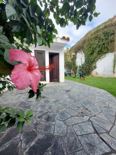 Coya Hostel