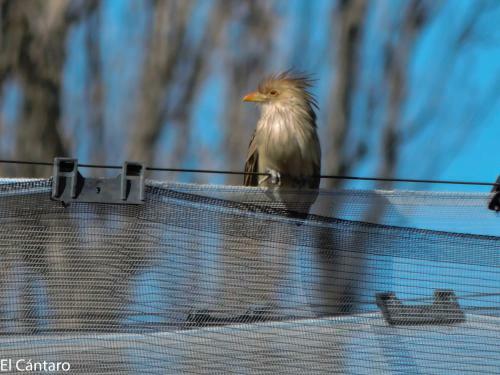 Apartamento El C�ntaro