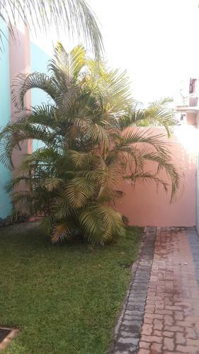 Apartamentos Palm Valley Inn