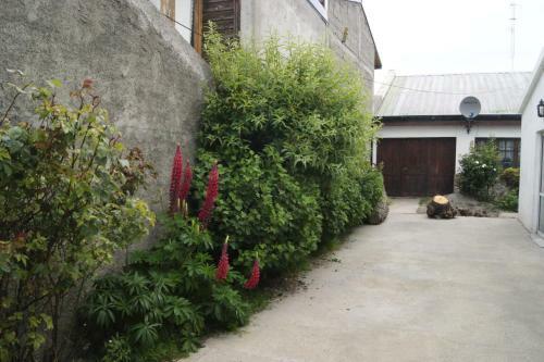 Bed & Breakfast Casa Elena