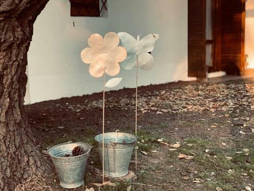 Bed & Breakfast La Bianca.