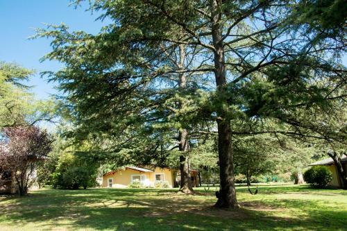 Lodge Caba�as Del Arroyo